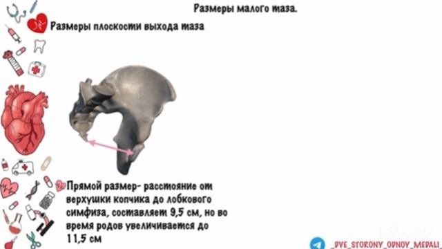 Таз с акушерской точки зрения. Размеры таза. #акушерство , #лекция , #4_курс смотреть онлайн