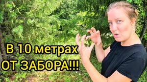 ДОМАШНИЕ ХЛОПОТЫ. Уборка на террасе!!! Семья в деревне. Прелести деревенской жизни!!!