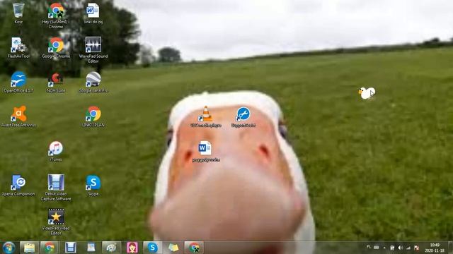 Goose on my desktop. смотреть онлайн