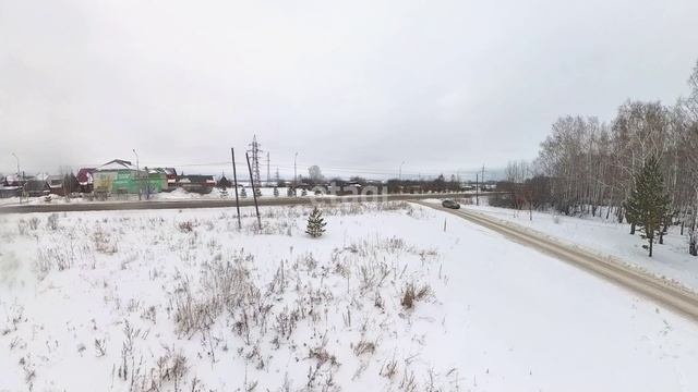 4474036 смотреть онлайн