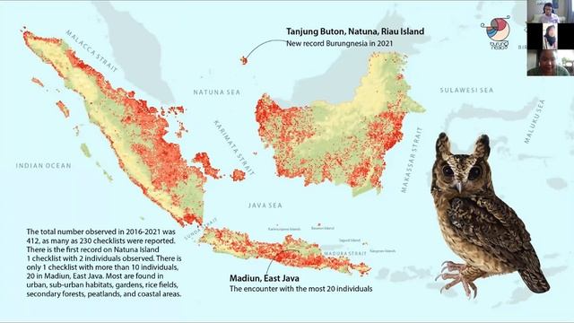 Concurrent Session 4 (Autecological Studies of Raptors) ARRCN 2022 смотреть онлайн