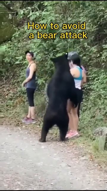 HOW TO AVOID BEAR ATTACK? #shorts #animals #bear смотреть онлайн