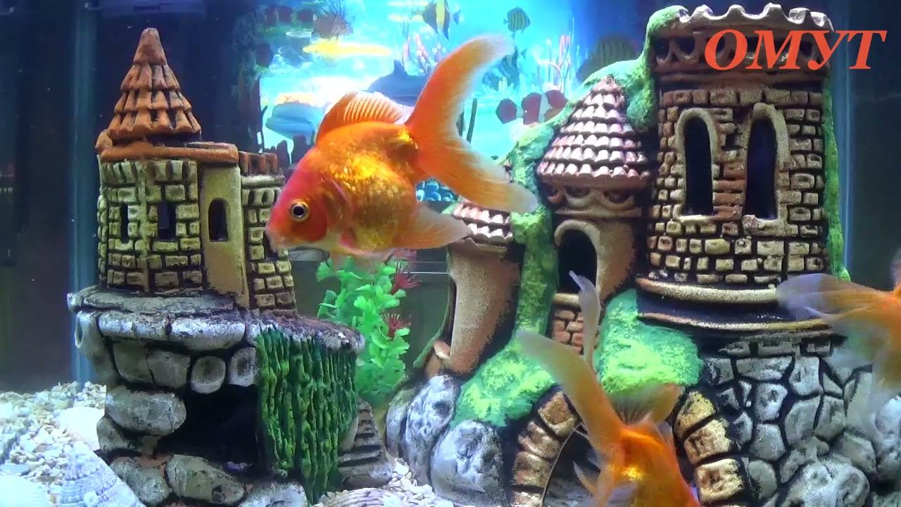 355. МЫ НЕ СВЯТЫЕ И КАК СПРАШИВАЮТ ЗА ГРЕХИ С ДУШИ... смотреть онлайн