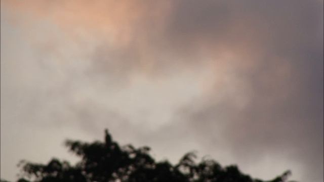 Memories of the Sky.............Lin Hai & Friends !. смотреть онлайн