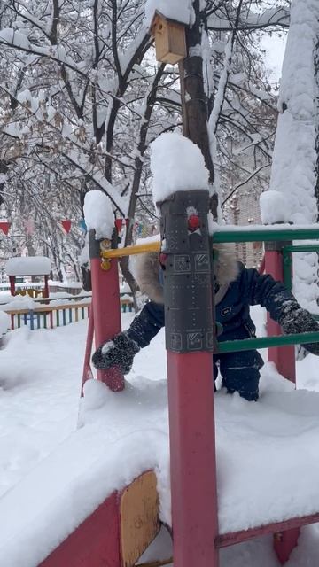 Володя катится с горки в дет саду смотреть онлайн