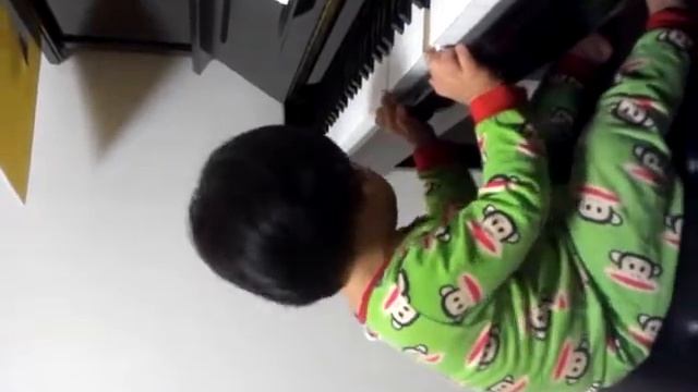 Genius Baby Pianist смотреть онлайн