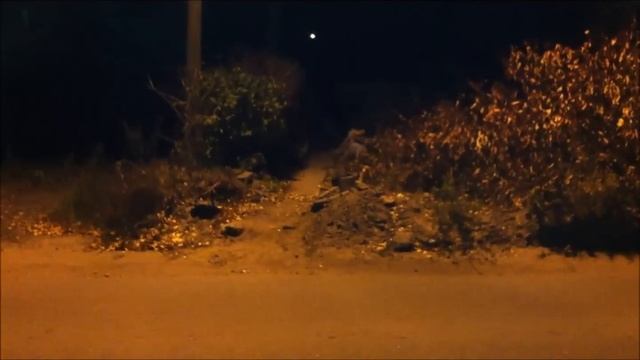 Ночь немного фегни) смотреть онлайн