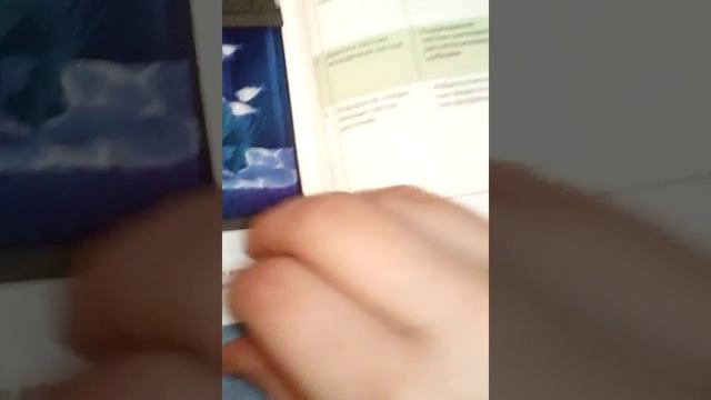 Мои рыбки и два сома 😊😊😊 смотреть онлайн