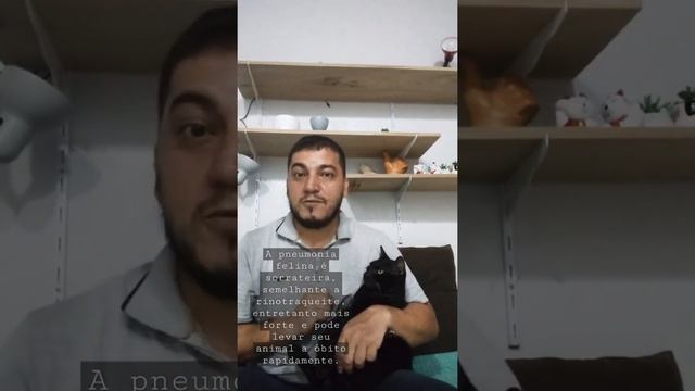 Gato com gripe forte смотреть онлайн