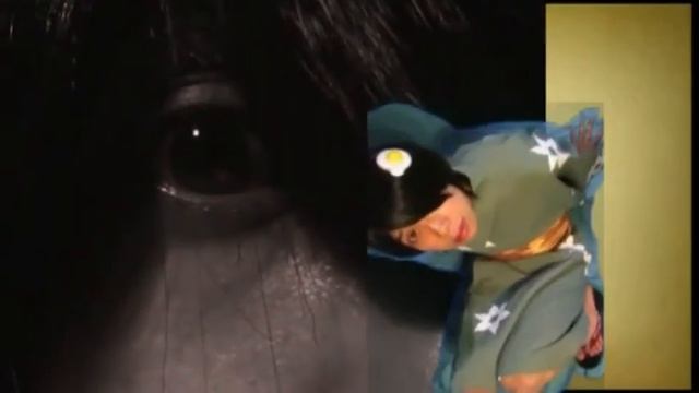 Platinum Disco Dance Nisemonogatari смотреть онлайн