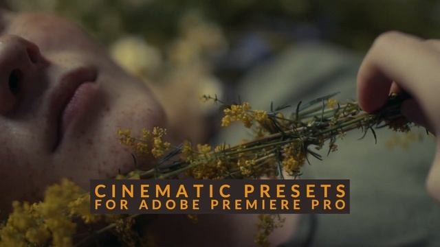 5 Game-Changing BMPCC Presets for Premiere Pro - Elevate Your Film Look смотреть онлайн