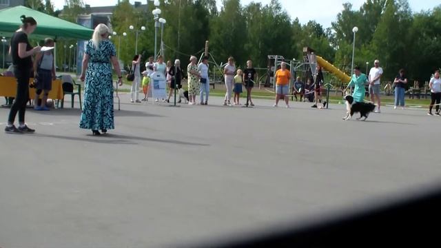 Электрогорск bestdog.mybb.ru смотреть онлайн