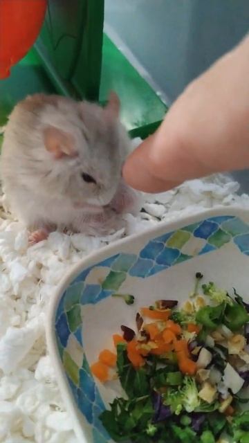 olly is getting old смотреть онлайн