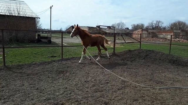 Берлин (Бенар-Рэаби) 2022 года смотреть онлайн