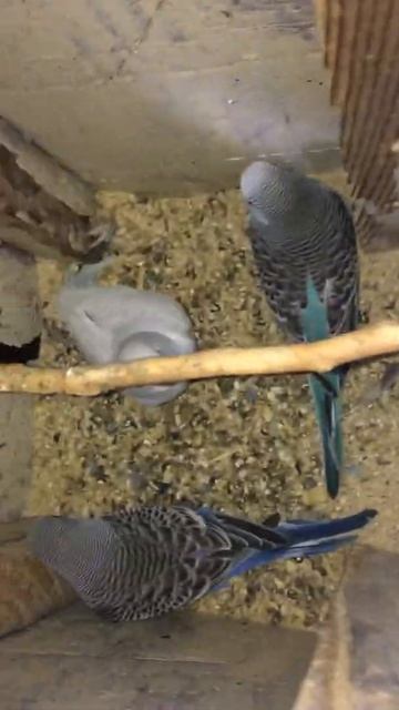 Трое вылетели трое ждут квота смотреть онлайн