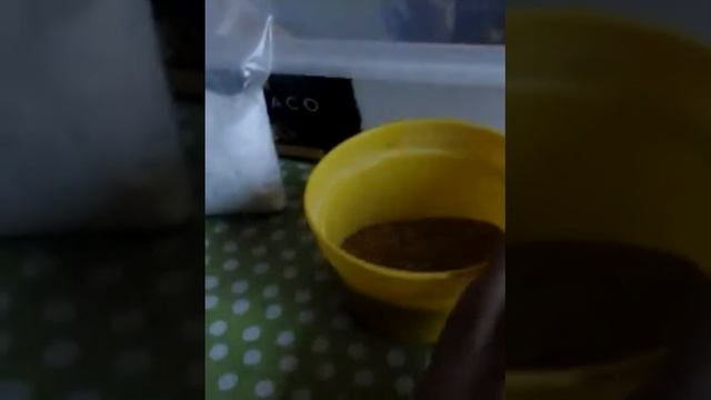 Вещи моих улиток.Ели вещи улитковода. смотреть онлайн