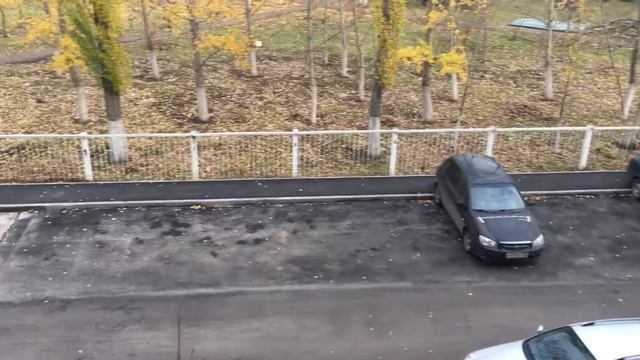 Машины vs Лошади/ Припарковала коня смотреть онлайн