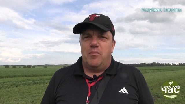 День Сенажа. 5 июня 2024 года, Республика Татарстан. И. Абакумов, «Сельский час» смотреть онлайн