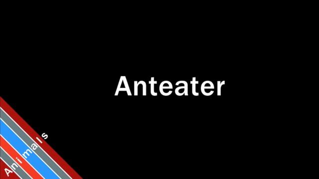 How to Pronounce Anteater смотреть онлайн