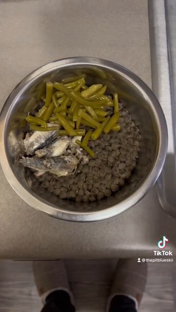 Healthy Meal for Blue or your Dog #rawdiet #dog #dogs #dogfood l смотреть онлайн