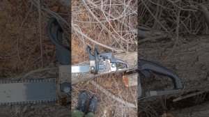 zimani 250 pro - а оно вам точно надо??