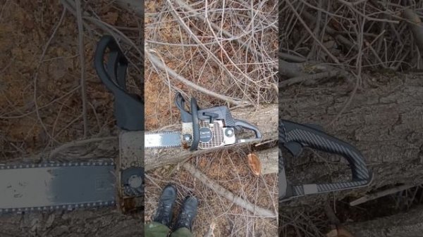 zimani 250 pro - а оно вам точно надо??