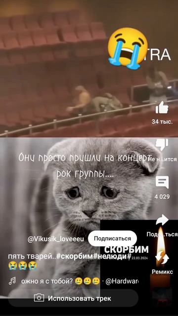 в ТЦ убили 40 человек 😭😭😰 смотреть онлайн