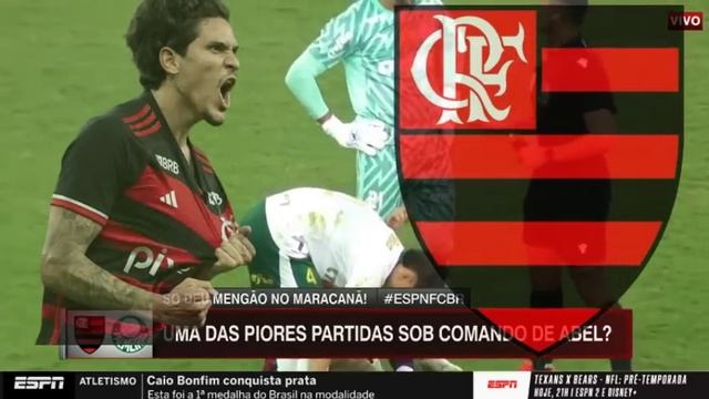 PASCOAL E ZINHO DERAM NO MEIO! ACOVARDADO!CLAUDINHO E MICHAEL NO FLA! NOTICIAS DO FLAMENGO!flazoeir смотреть онлайн