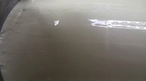 Сыр Кесо Аль Вино Де Мурсия или Пьяная коза