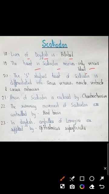 Scoliodon | important questions | part 3 | for up tgt biology смотреть онлайн