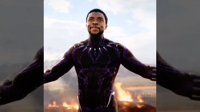 I am not dead! Black Panther efx edit || Black panther efx edit смотреть онлайн