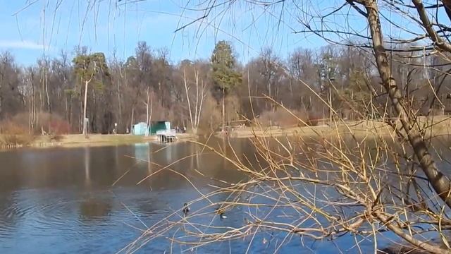 016 13 04 2016 Г ПОНАБЛЮДАЛ ЗА ПАРАМИ УТОК ... смотреть онлайн