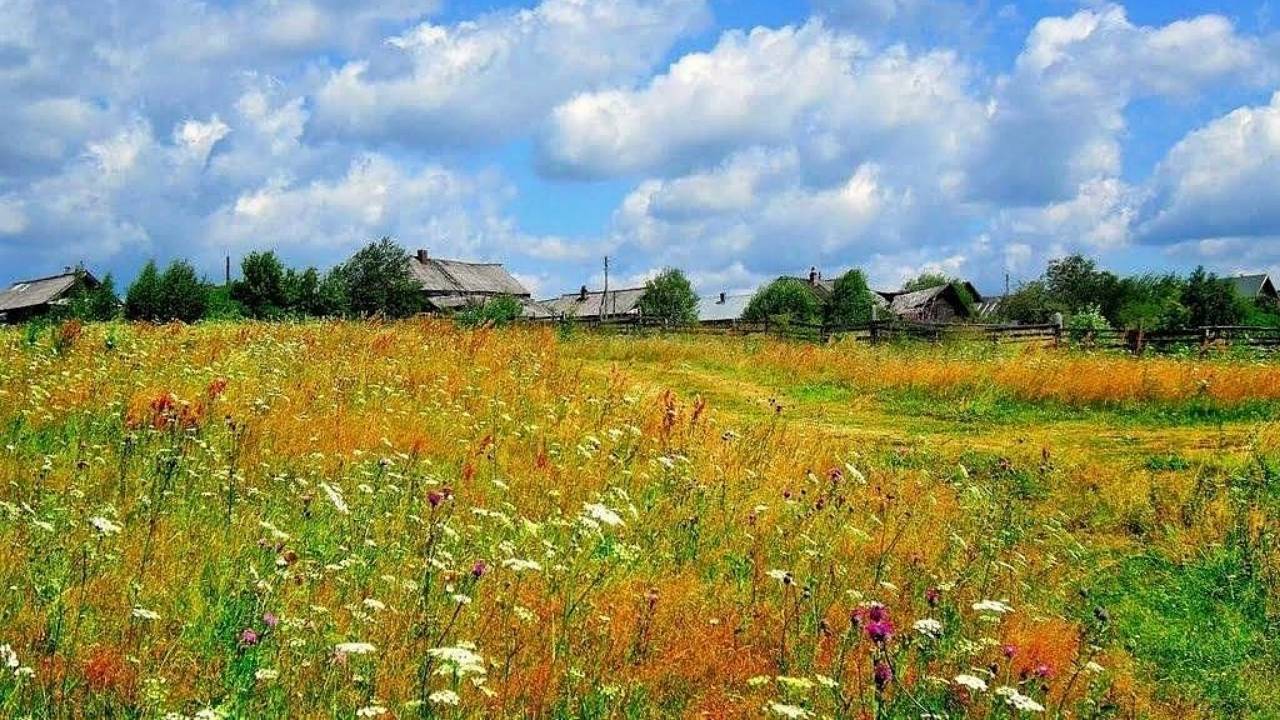 Воробьев Андрей За околицей гармошка смотреть онлайн