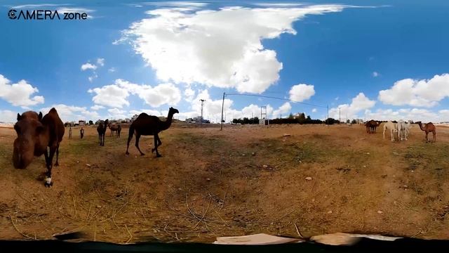 Best Professional 360 Camera for Pro User смотреть онлайн