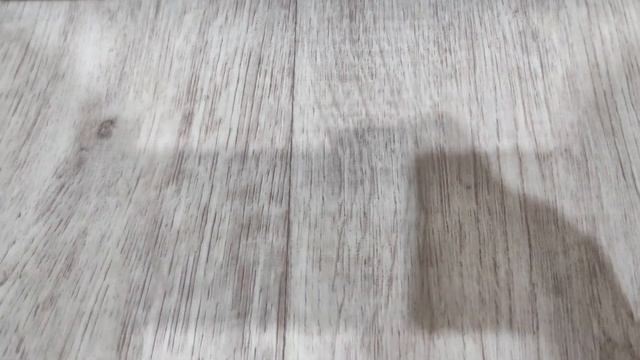 Как безопасно кормить кошек 8-)) смотреть онлайн