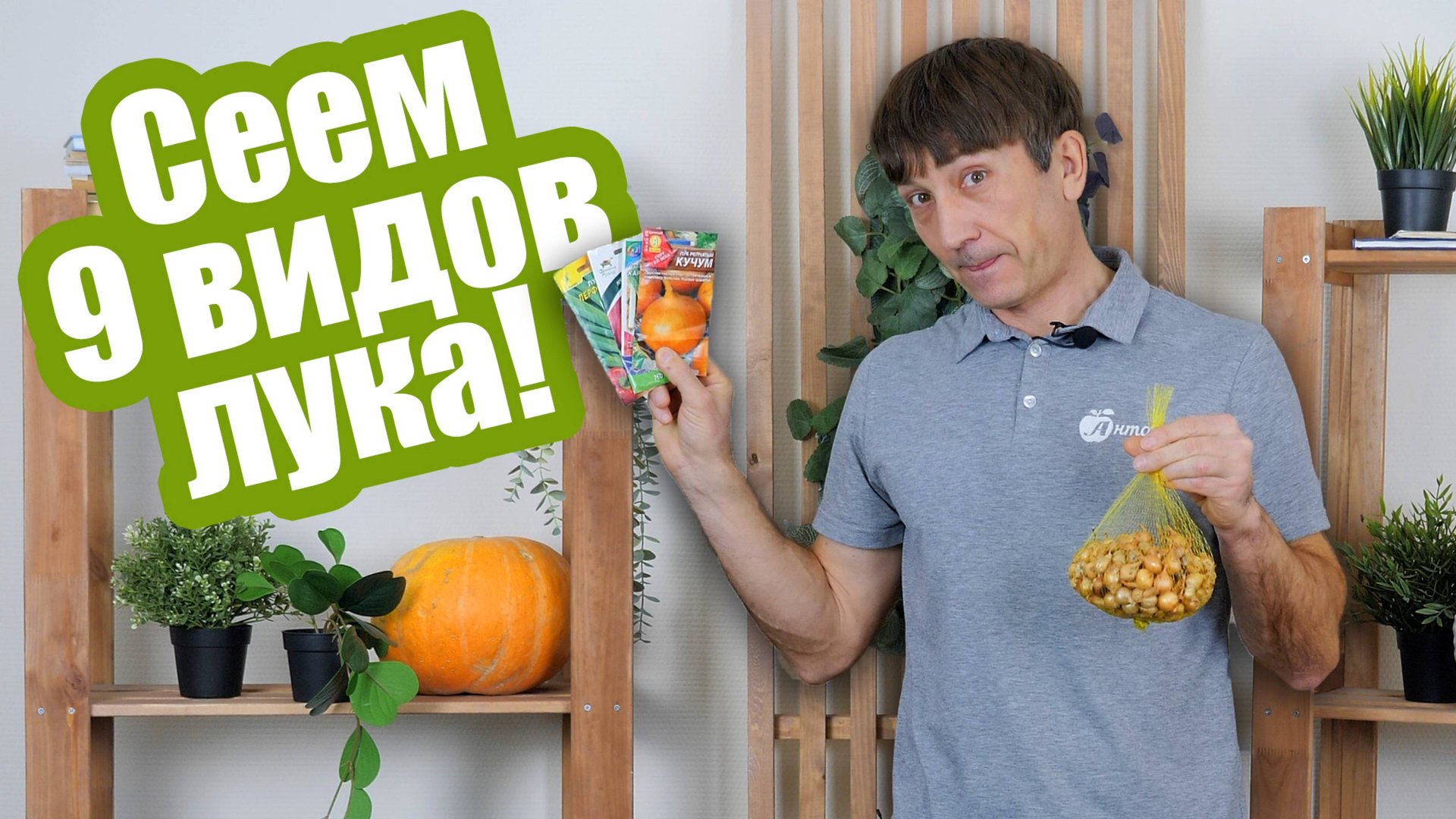 САЖАЕМ ЛУК: как, когда и куда сеять Сеем на рассаду и в отурытый грунт смотреть онлайн