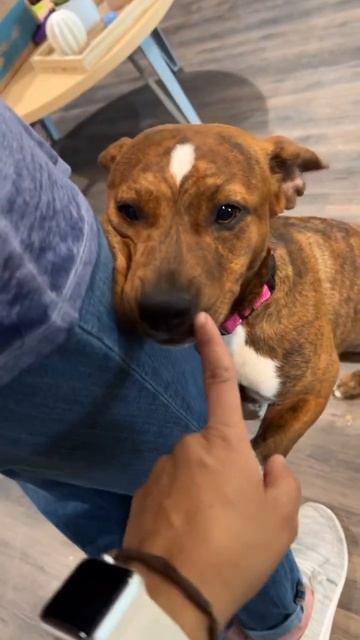 Lizzo Hugs! смотреть онлайн