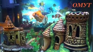 191. ДВОЙНОЙ УДАР ПО ЧЁРНОЙ МАГИИ. И ВАШИ КОММЕНТЫ.