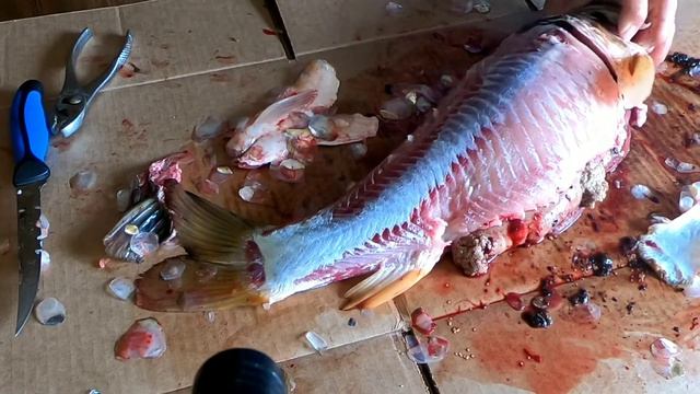 How to clean a carp for easy eating смотреть онлайн