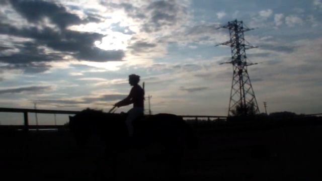 Саша и Изборск. Тренировка 13.09.12 (2) смотреть онлайн