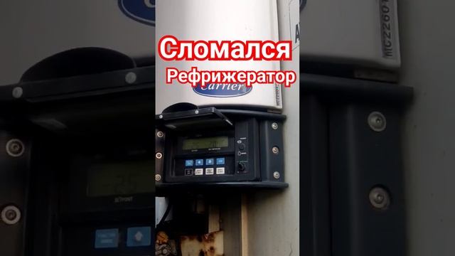 Сломался рефрижератор в дороге, что делать? #driving #shortsvideo #travel #trending #summer смотреть онлайн