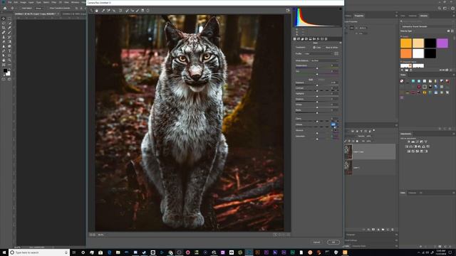 How to Edit Color & Contrast in Adobe Camera Raw смотреть онлайн