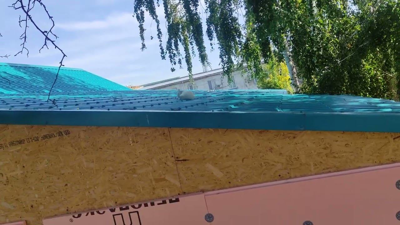 Котенок Гром смотреть онлайн