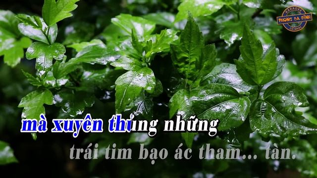 KARAOKE (trích đoạn) | TÌM LẠI CUỘC ĐỜI | Xàng Xê - Vọng Cổ 123 (nhạc mới 2021) смотреть онлайн