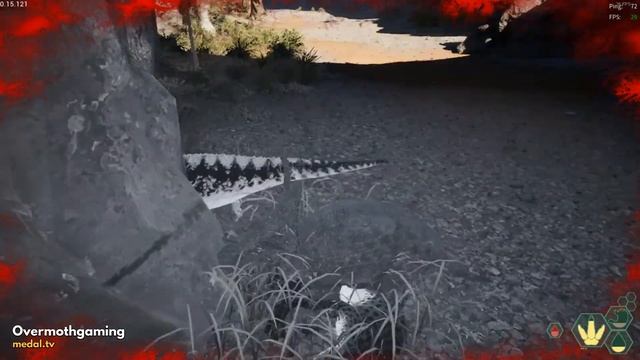 1v2 with Cerato's as Diabloceratops смотреть онлайн
