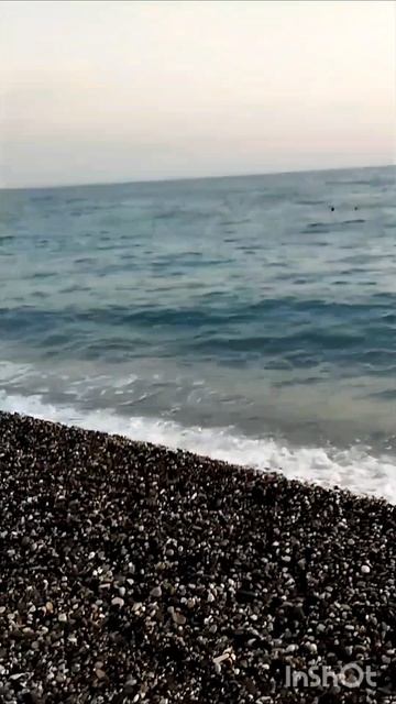 Сочи.Вкусная пицца. смотреть онлайн