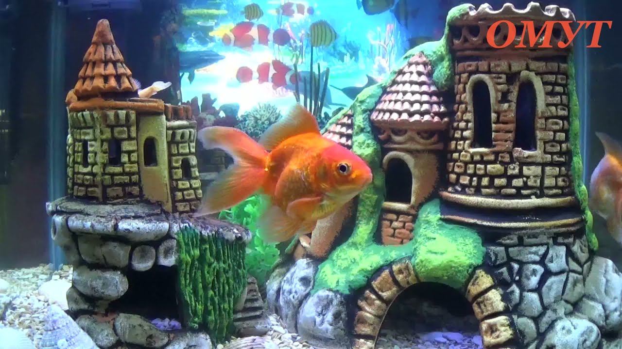 364. МГНОВЕННАЯ ОБРАТКА НА ЛЮБУЮ ЛУНУ... смотреть онлайн