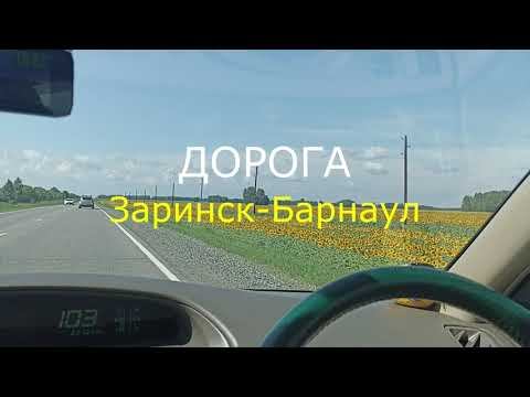 Дорога Заринск-Барнаул