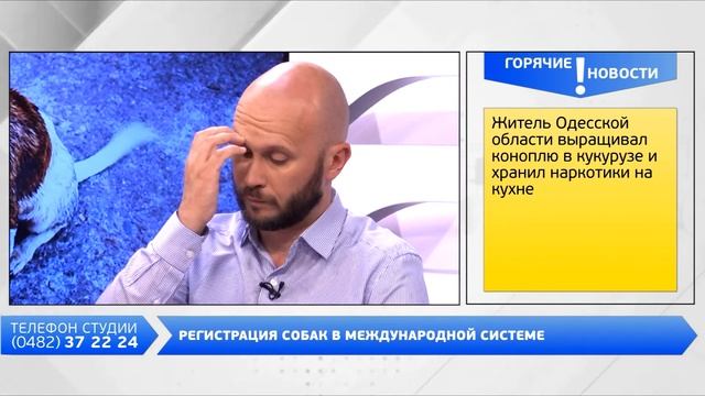 День на Думской. Светлана Барсукова, 26.06.2018 смотреть онлайн