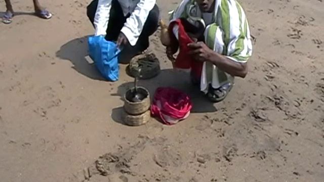 Кобра на пляже GOA смотреть онлайн